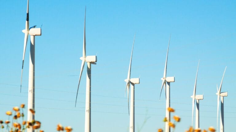 İngiltere, yeşil enerji projelerini hızlandırmak için sübvansiyon reformu planlarını sçıkladı