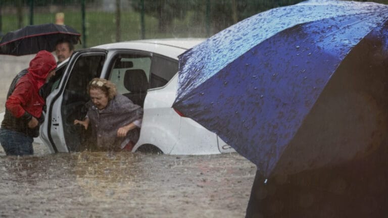 92 kurumdan ‘Doğayı ve yaşam alanlarımızı koruyan iklim kanunu istiyoruz’ çağrısı