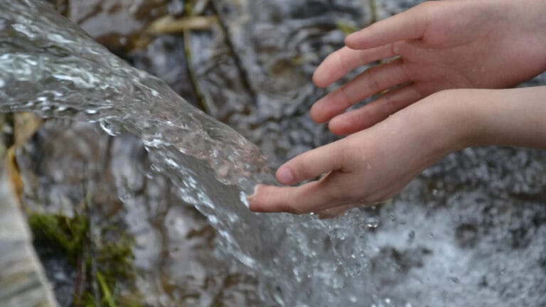 Türkiye’de tatlı su kaynakları tehlike altında