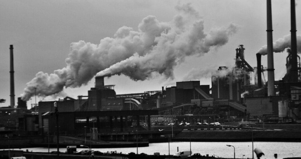 Frans van Heerden / Pexels