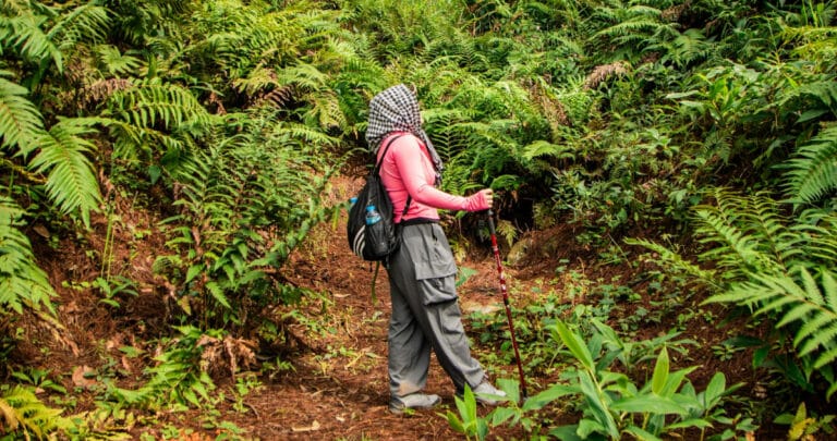 Serin tatil nedir? Yaz sıcağından kaçanlar için en iyi alternatifler