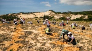 Ekonomistlerden ağaç dikimine “yatırım portföyü” önerisi: Doğru tür, doğru yer stratejisi