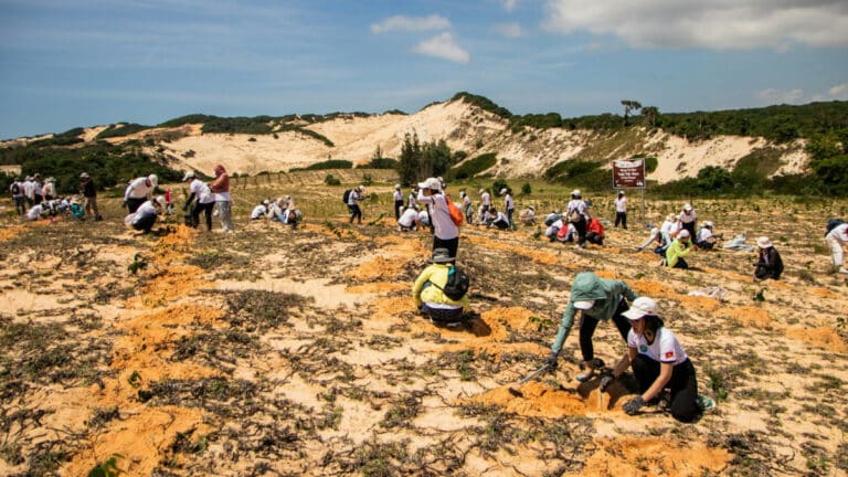 Ekonomistlerden ağaç dikimine “yatırım portföyü” önerisi: Doğru tür, doğru yer stratejisi