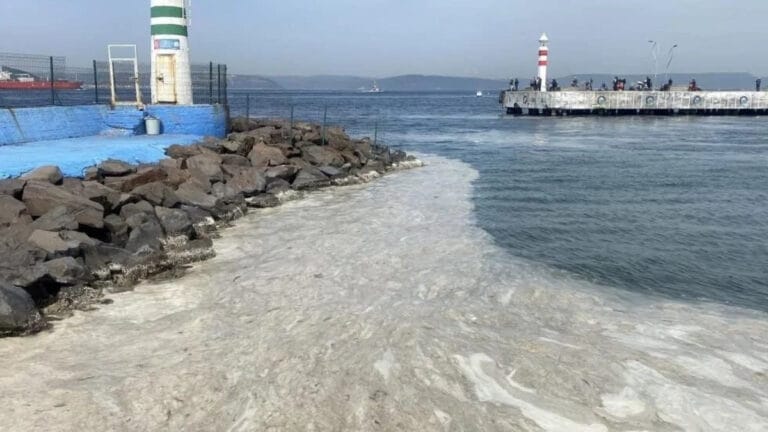 Çanakkale Boğazı’nda müsilaj alarmı: İskeleyi sardı