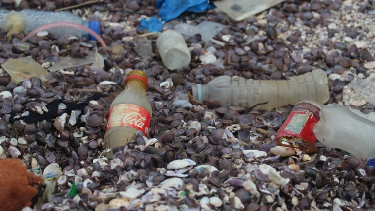 Coca-Cola’nın okyanuslardaki plastik atıkları 2030’a kadar 602 milyon kilograma ulaşabilir