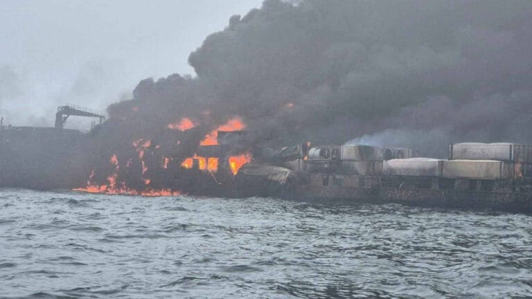 Uzmanlardan, İngiltere’deki gemi kazasının ardından deniz canlıları için ‘petrolden boğulabilir’ uyarısı