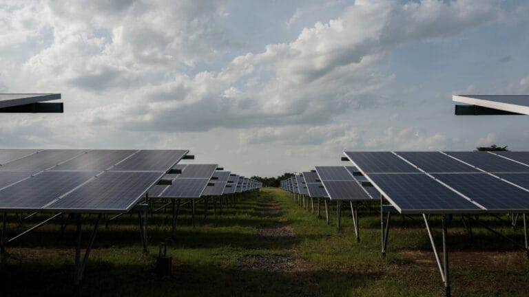 Trump’ın eleştirdiği güneş enerjisi 2024’te ABD’ye büyük kazanç sağlayacak
