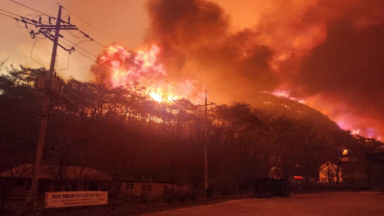 Güney Kore’de bir haftadır süren orman yangınları kontrol altına alındı