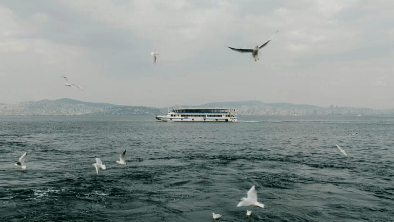 Yağış yok, sıcaklıklar mevsim normali üzerinde