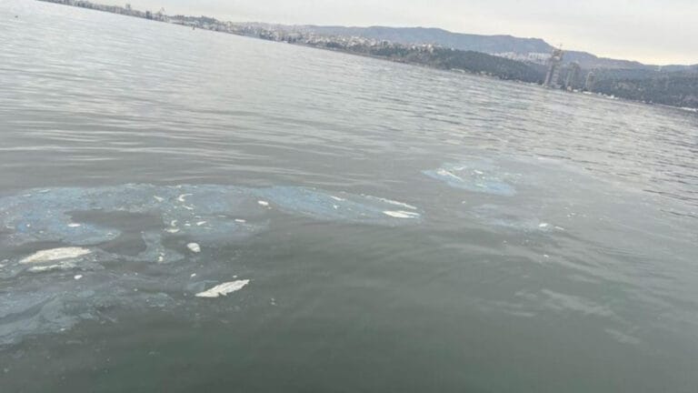 İzmir’de denize atık deşarj eden firmaya 8,3 milyon TL ceza