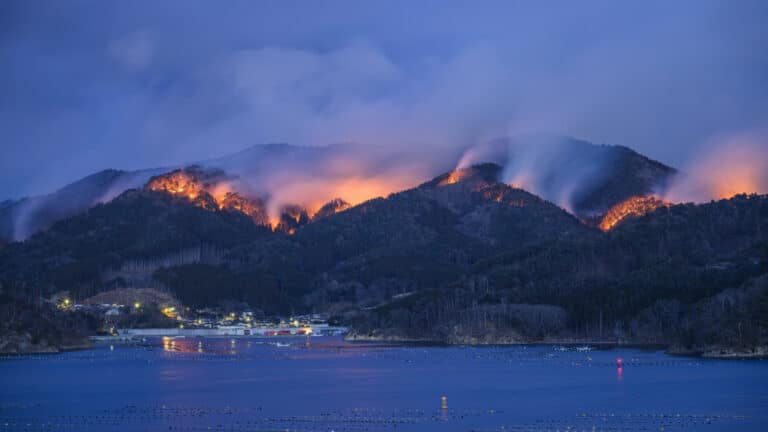 Japonya’da son 30 yılın en büyük yangını: Binlerce kişi tahliye edildi