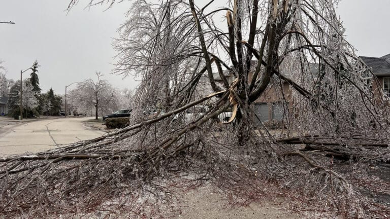 Kanada’da şiddetli buz fırtınası: 400 binden fazla insan elektriksiz
