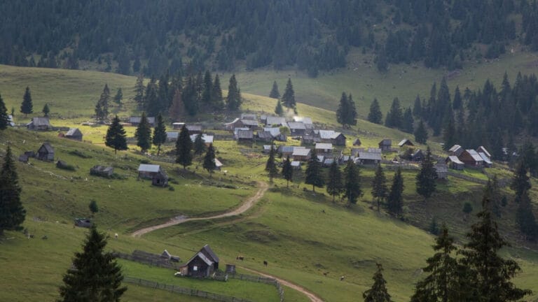 Türkiye’de ilk kez orman köyleri için yangın tahliye planı hazırlandı