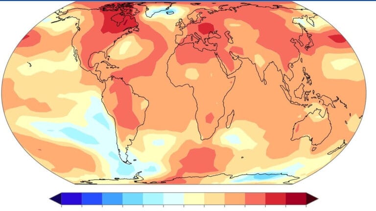 2024, insan kaynaklı iklim değişikliğinin en sıcak yılı oldu!