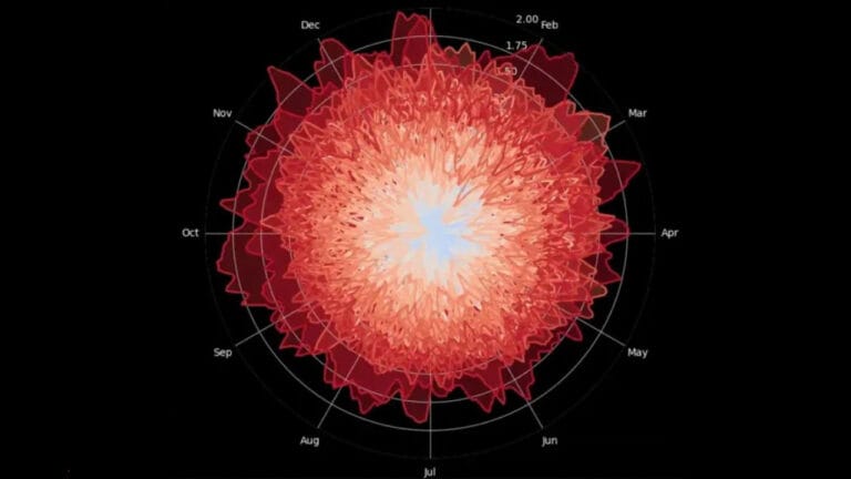 Çiçek gibi ama değil! Küresel ısınmanın endişe verici tablosu