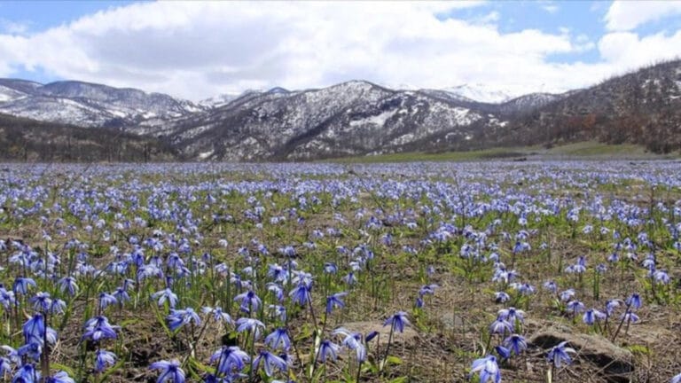 Yağış yok, hava sıcaklıkları artmaya devam ediyor
