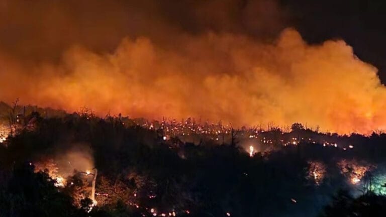 Teksas ve Oklahoma’da orman yangınları: Binlerce kişi tahliye edildi