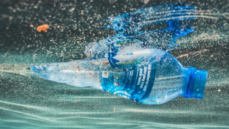 Japon bilim insanları denizde çözünebilir plastik geliştirdi