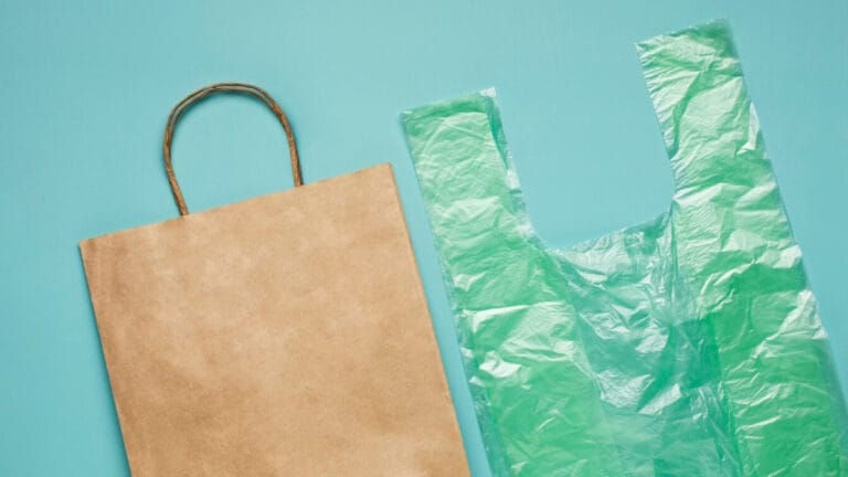 Kağıt mı, plastik mi? Alışverişte hangi çanta çevre dostu?