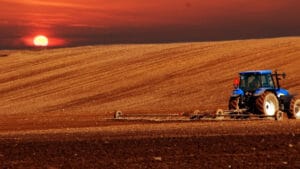 BM: Buzulların erimesi 2 milyar insanın gıda ve su güvenliğini tehdit ediyor