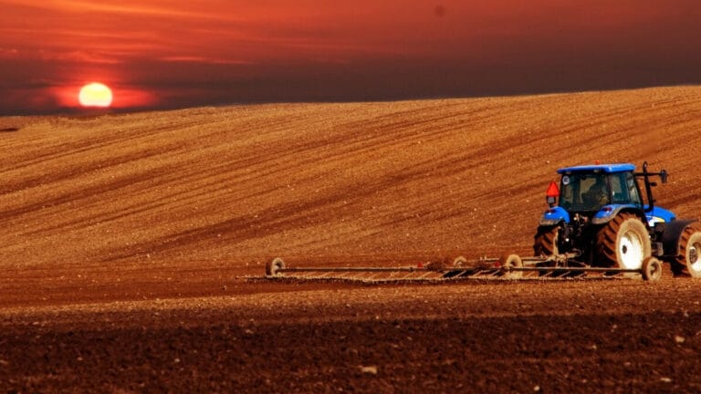 BM: Buzulların erimesi 2 milyar insanın gıda ve su güvenliğini tehdit ediyor