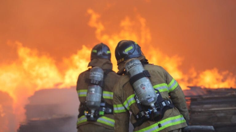 Güney Kore’de orman yangınları felakete dönüştü! Ölü sayısı 26’ya ulaştı, tarihi yerler küle döndü