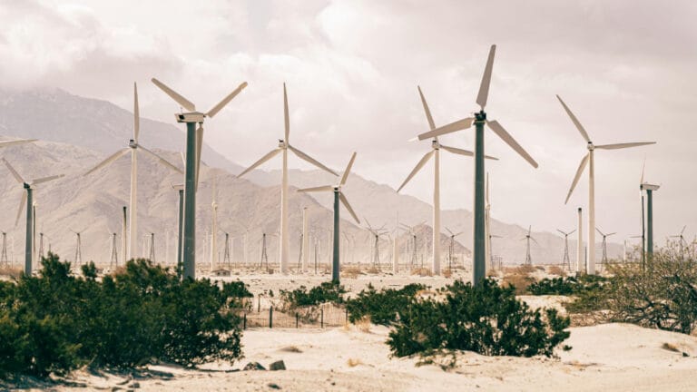 BNEF: Yenilenebilir enerji üretimi önümüzdeki beş yılda yüzde 84 artacak​