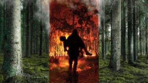 Amazon Orman yangınları, Antarktika’daki deniz buzullarının erimesine yol açabilir