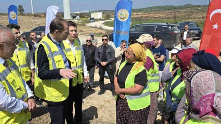 Çanakkale’de 100 bin fidanlık ‘Enerji’ ormanı