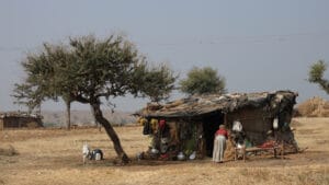 Dünya 4 derece ısınırsa insanlar yüzde 40 daha fakir olacak