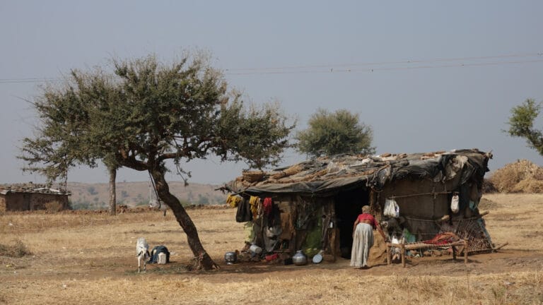 Dünya 4 derece ısınırsa insanlar yüzde 40 daha fakir olacak