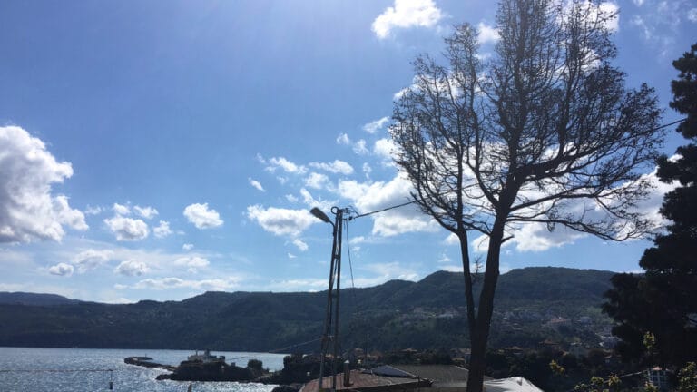 Amasra’nın simgelerinden ağlayan ağaç kesildi