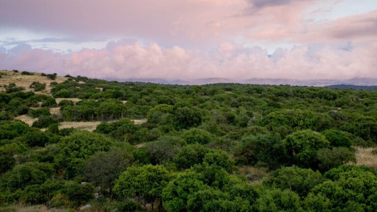 Arap Çölü bir zamanlar Afrika ile Asya arasında yeşil bir geçit olabilir