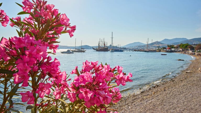 Muğla kıyıları için iki aşamalı müdahale modeli