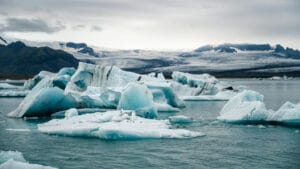 Kutuplardaki deniz buzunun yok olması neden tüm gezegen için bir krizdir?
