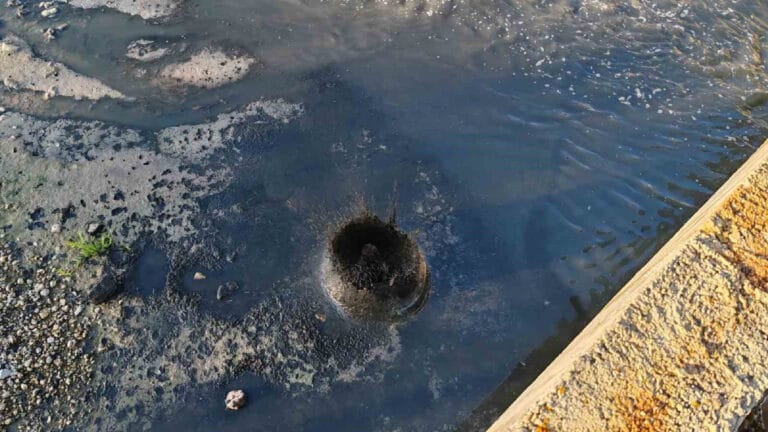 Kimyasal atık kirliliği: Gerede Çayı can çekişiyor!