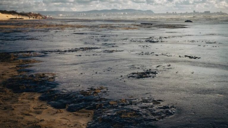 Rusya, Kerç Boğazı’ndaki petrol sızıntısını temizlemeye devam ediyor