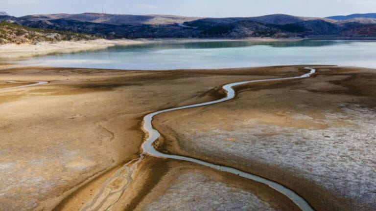 “Artık Türkiye’de kurak iklim şartları etkili oluyor”