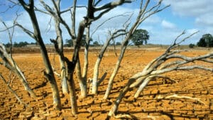 El Niño artık daha sık ve daha yıkıcı: Bilim insanlarından uyarı