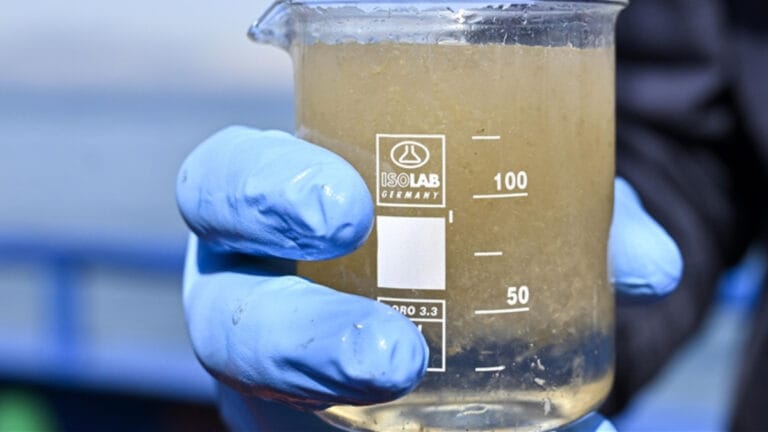 Marmara’nın müsilaj haritası 2021’e dönüş alarmı veriyor