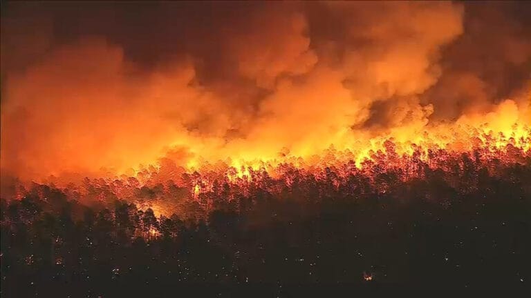 New Jersey’de 20 yılın en büyük orman yangını: 13.000 dönümlük alan kül oldu