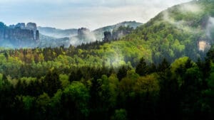 3 milyon yıldır görülmemiş seviye! Atmosferdeki karbondioksit miktarında rekor artış!