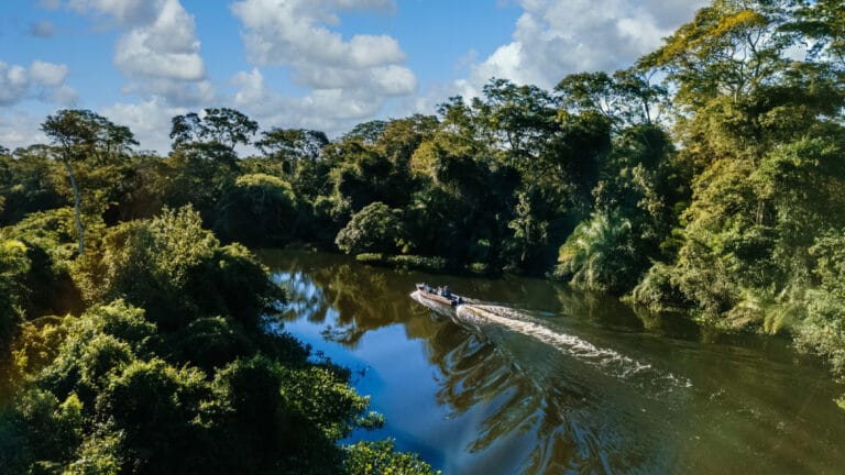 Peru’da yerliler Amazon’un ormansızlaşmasını hızlandırabilecek yasa değişikliğine karşı çıkıyor