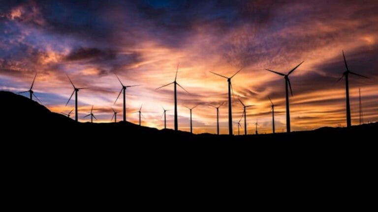 Ray Sigorta yeşil enerji yatırımlarına özel ürününü duyurdu