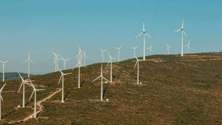Türkiye’de elektriğin yüzde 46’sı yenilenebilir enerjiden: Yatırım ihtiyacı yıllık 15 milyar dolar