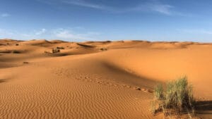 Bir zamanlar yemyeşil olan Sahra Çölü, gizemli bir insan soyuna ev sahipliği yapıyordu