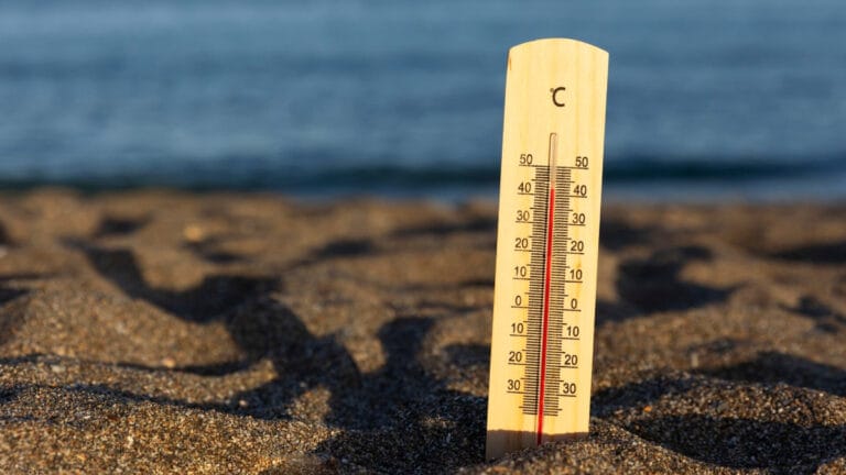 Sıcak Hava Dalgası Nedir? Nedenleri, Etkileri ve İklim Değişikliğiyle İlişkisi