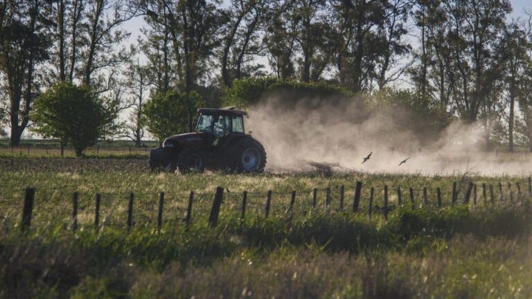 Dünyadaki tarım alanlarının yaklaşık yüzde 15’inin toksik metallerle kirlendiği ortaya çıktı