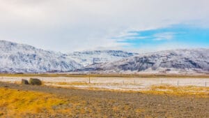 Tundra Nedir? Tüm Özellikleriyle Tundra Biyomu ve Küresel İklimdeki Rolü