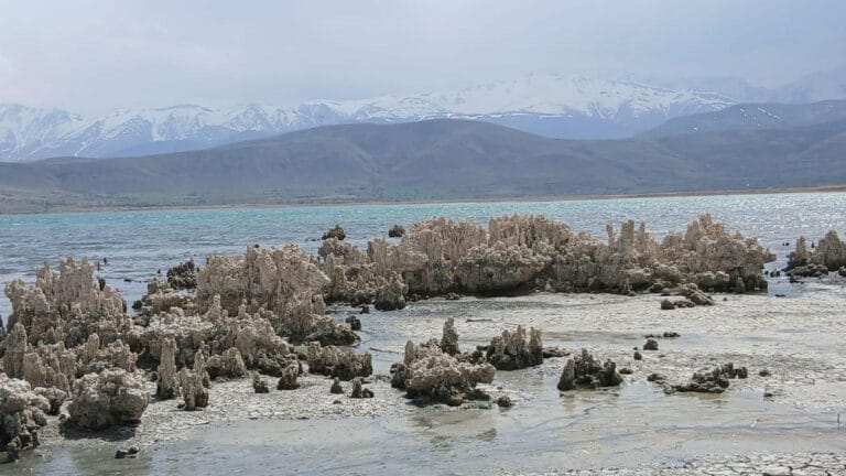 Van Gölü’nde kirlilik artıyor, canlı popülasyonu yok oluyor